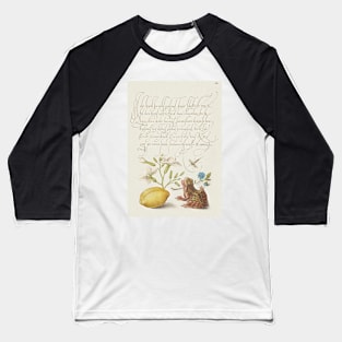 Antique 16th Century Calligraphy with Frog and Flora Baseball T-Shirt